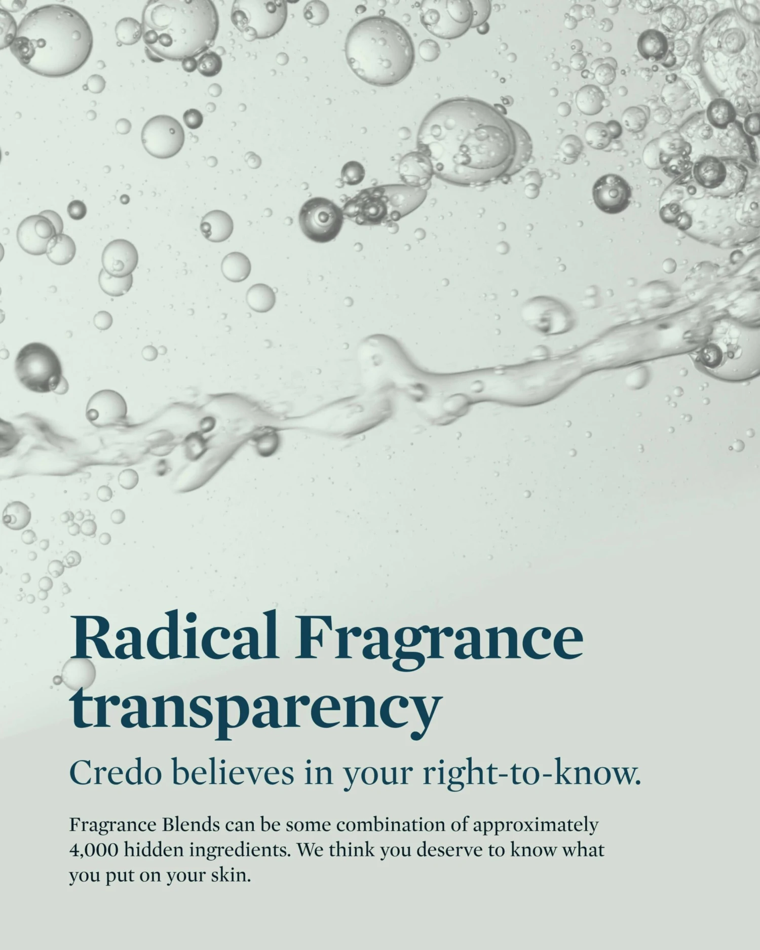 The Highlight Of The Day - Image 9